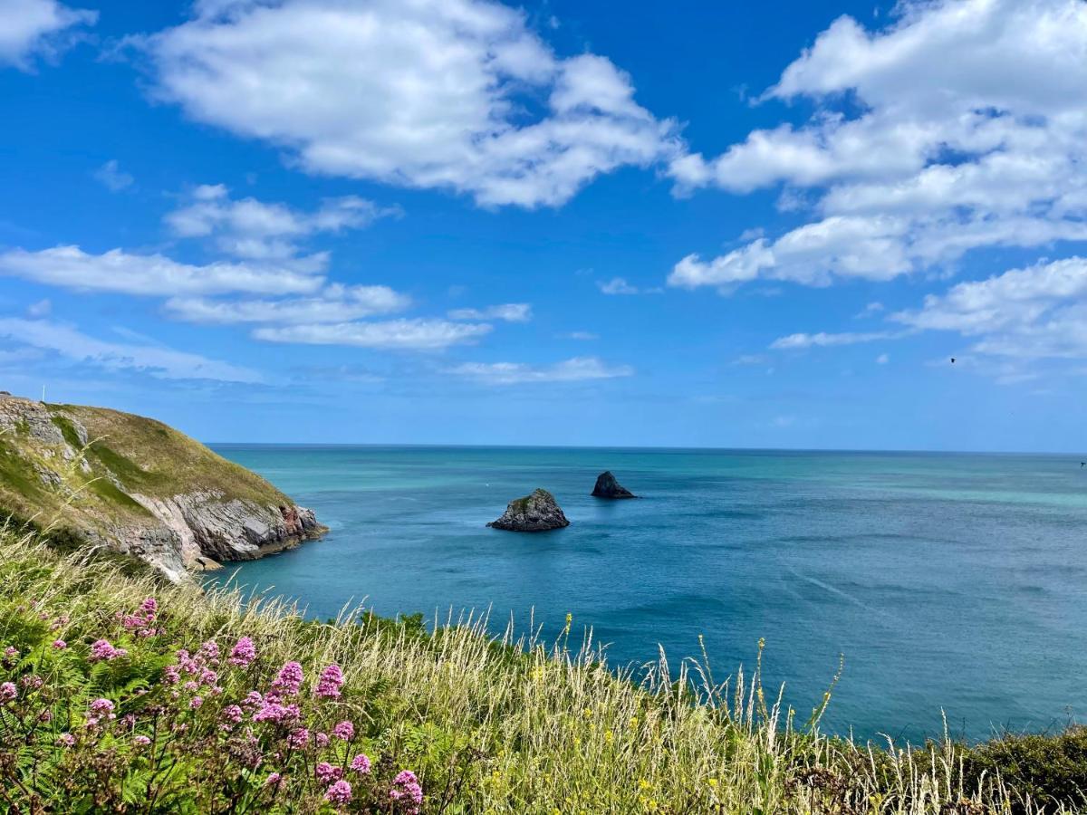 Cheerful At Landscove In Holiday home