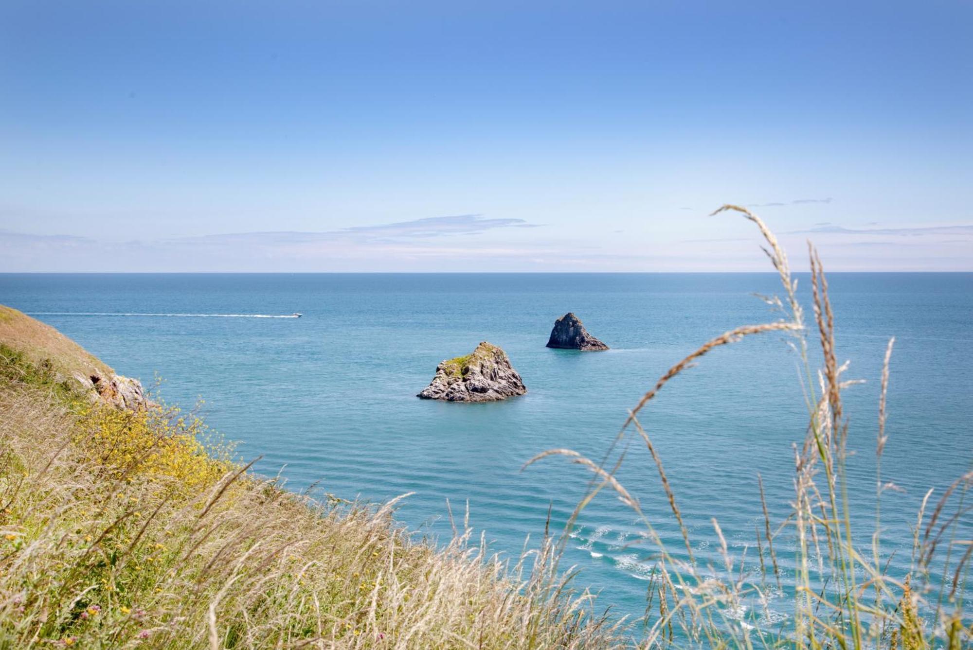 Holiday home Cheerful At Landscove In